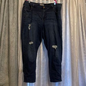 Molly and Isadora destructed dark wash girlfriend